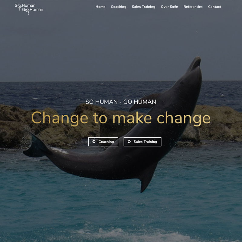 website responsive